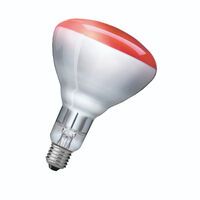 Philips INFRAROT-LP. 230V-250W 1CT/10 (IR 250 RH R125)