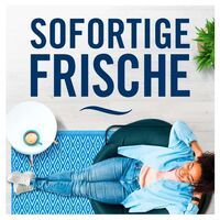 Multipack 6x Febreze Lufterfrischer Spray Bodensee Beerenblüten 185 ml