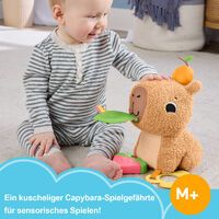 Mattel Fisher-Price sensorisches Babyspielzeug Kuschel-Capybara Plüschtier mit Beißring und Rassel f
