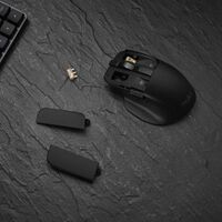Asus Retail ASUS MD301 ProArt      Maus wireless 8000dpi schwarz (90XB0AF0-BMU010)