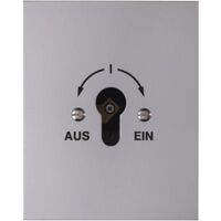Hager SCHLÜSSELSCHALTER UP FÜR PROFI (WDE4416)