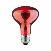 PAULMANN Reflektorlampe R80 60W E27 Infrarot