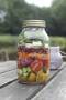 KILNER Einmachglas 1l m.Schraubversch