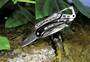 TRUE Multitool "Seven" 6in1