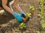 Gardena 11510-20 - Gardening gloves - Black - Blue - S - SML - Elastane - Nitril - Polyester - 42% polyester - 55% nitrile - 3% elastane