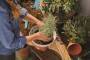 Gardena ClickUp! Pflanzschale (11320-20)