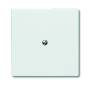 Busch-Jaeger ALLW. C-SCH.+TRAGR.BLIND (2138-34)