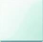 MERTEN 432119 - Buttons - White - Thermoplastic - 1 pc(s)