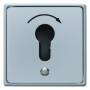 Berker 4450 - Key-operated switch - Grey - Metal - Plastic - IP44 - 250 V - 75 mm