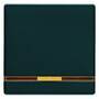 Berker 16216086 - Anthracite - Duroplast - 10 pc(s)