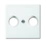 Busch-Jaeger ZENT.SCH.ANTENNE 2-F (2531-914)