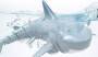 AMEWI Sharky, der blaue Hai 4-Kanal RTR 2,4GHz ferngesteuerte Boote