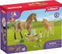 Schleich Horse Club Sarah’s baby animal car - Girl - 5 yr(s) - Multicolour