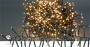 Nedis LEUCHTEN LED    CLUSTER   5,6M (CLCS768    WARMWEISS)