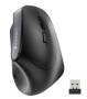 Cherry MW 4500 Wireless 45 Degree Mouse - Black - USB - Right-hand - Vertical design - Optical - RF Wireless - 1200 DPI - Black