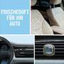 Febreze 6 Stk Auto Lufterfrischer Reine Frische, Auto Duft Gegen Gerüche 