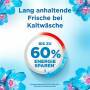 Lenor Universal Flüssigwaschmittel Aprilfrisch, 50 Waschladungen