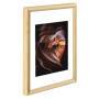 Hama Phoenix - Glass,Wood - Transparent - Single picture frame - Wall - 20 x 28 cm - Rectangular