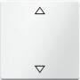 Berker WIPPE MIT AUFDRUCK SYMBOL (16206079      PW Q.1)