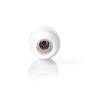 Nedis IEC (Coax) Stecker / Gerade / Stecker / Vernickelt / 75 Ohm / Schraube / Kabeleingangsdurchmesser: 7.0 mm / Metall / PVC / Weiss / 2 Stück / Box
