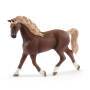 Schleich Horse Club    42438 Waschplatz m. Emily & Luna Schleich