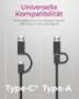 ICY BOX IB-LAN301-C3 USB Type-C / Type-A zu LAN Kabel und Adapter -Computer-