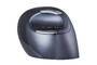 Bakker Elkuizen BakkerElkhuizen Maus Evoluent D VerticalMouse re large wirel retail (BNEEVRDLW)
