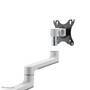 NEOMOUNTS BY NEWSTAR NEOMOUNTS Next Lite Flat Screen Desk Mount clamp+grommet (DS60-425WH2)
