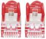 Intellinet Network Patch Cable - Cat7 Cable/Cat6A Plugs - 0.25m - Red - Copper - S/FTP - LSOH / LSZH - PVC - RJ45 - Gold Plated Contacts - Snagless - Booted - Polybag - 0.25 m - Cat7 - S/FTP (S-STP) - RJ-45 - RJ-45 - Red