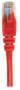 Intellinet Network Patch Cable - Cat6 - 1.5m - Red - Copper - S/FTP - LSOH / LSZH - PVC - RJ45 - Gold Plated Contacts - Snagless - Booted - Polybag - 1.5 m - Cat6 - S/FTP (S-STP) - RJ-45 - RJ-45 - Red