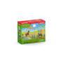schleich® Farm World 42481 Pony Agility Training