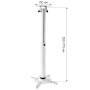 Techly Profi Deckenhalterung f. Beamer,ausziehbar,50-77cm,w. (ICA-PM-104MW)