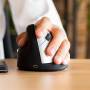 R-Go HE Mouse - Ergonomic mouse - Large (Hand Size above 185mm) - Left Handed - wireless - Left-hand - Vertical design - RF Wireless - 2500 DPI - Black - Silver