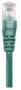 INTELLINET Netzwerkkabel Cat6a S/FTP 0,25m vollkupfer Cat6a-zertifiziert LS0H RJ45-Stecker/RJ45-Stec