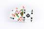 ASS Altenburger ASS COPAG® 100% Plastik Poker Jumbo Index blau.Kartenspiel