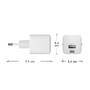 dbramante re-charge GaN USB-C + USB-A Wall Charger 30W + 18W