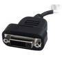 StarTech.com DisplayPort to DVI Active Adapter - DisplayPort - DVI-D - Black