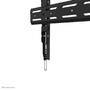 Neomounts by Newstar Select Neomounts tv wall mount - 109.2 cm (43") - 2.49 m (98") - 100 kg - 100 x 100 mm - 800 x 400 mm - Black