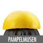 GASTROBACK Zitruspresse Home Culture 41138