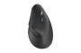 Kensington Maus MY630 EQ kabellos (K72482WW)