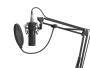 Genesis Gaming Mikrofon RADIUM 300 XLR (NGM-1695)