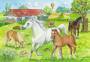 Ravensburger 7833 Puzzle Auf dem Pferdehof 2 X 24 Teile