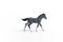 Schleich Horse Club     13944 Trakehner Fohlen Schleich