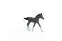 Schleich Horse Club     13944 Trakehner Fohlen Schleich