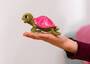 Schleich Bayala Kristall Schildkröte 70759