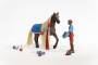 Schleich Sofia's Beauties Leo & Rocky Starter Set    42586 Schleich
