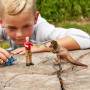 Schleich Dinosaurs 43265113 - Multicolour
