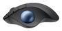 Logitech Wireless Mouse Ergo M575S Trackball graphite (910-007029)