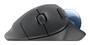 Logitech Wireless Mouse Ergo M575S Trackball graphite (910-007029)