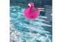 HI Pool Solar - Thermometer 'Flamingo'